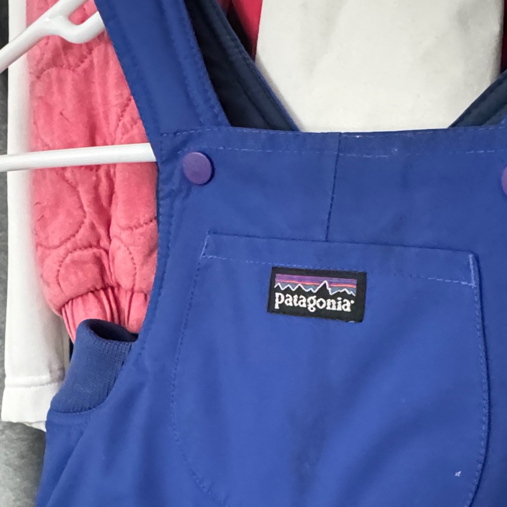 Patagonia Royal Blue Bib Overalls